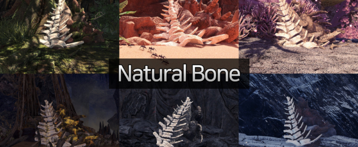 Natural Bone ( and Crystal )